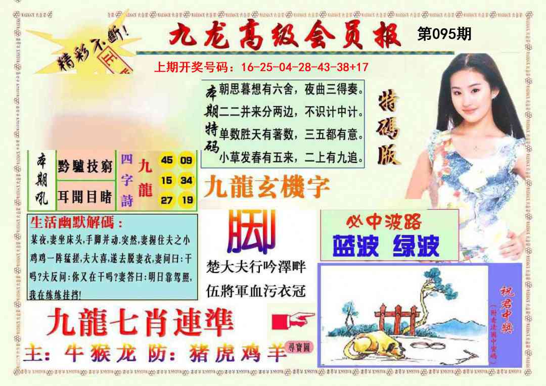 095期九龙高级会员报[图]